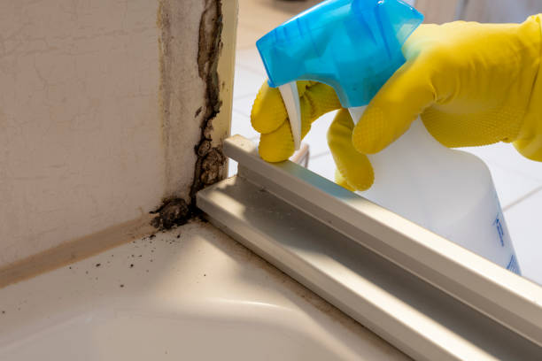 Best Residential Mold Inspection & Testing  in Bohners Lake, WI